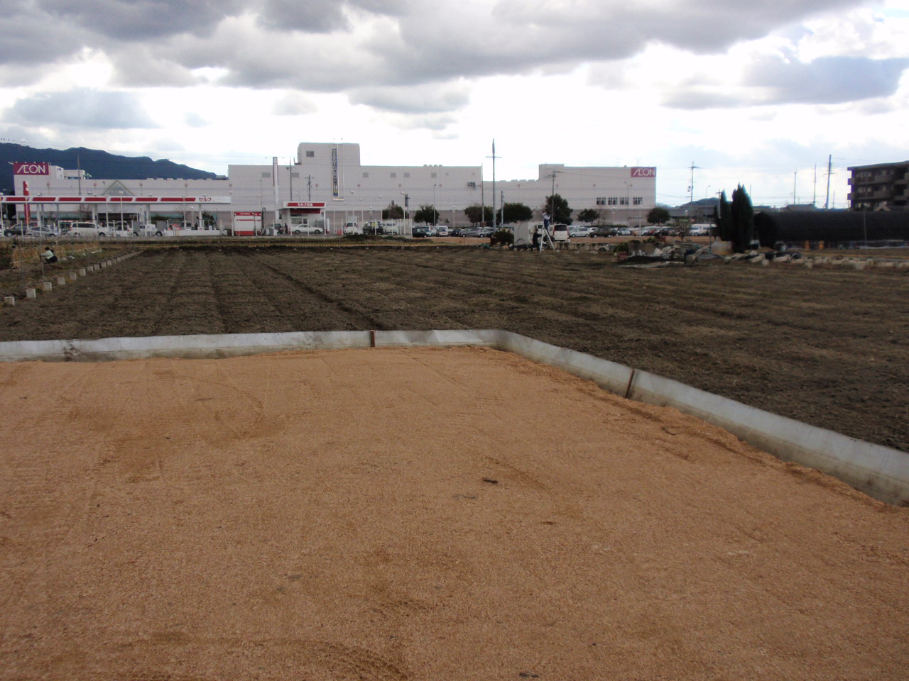 �_�����ԏ�